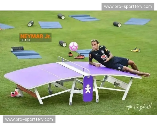 乒乓球媒体观点：在看台与数据之间织就新的观看体验