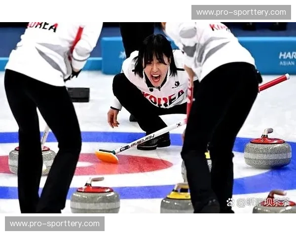 冰壶网页版——指尖上的冰雪策略盛宴 冰壶网页版——指尖上的冰雪策略盛宴