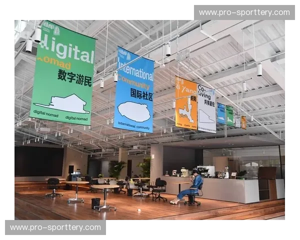 穿越平行时空的“回旋镖”：当数字游民遇上平壤的慢镜头